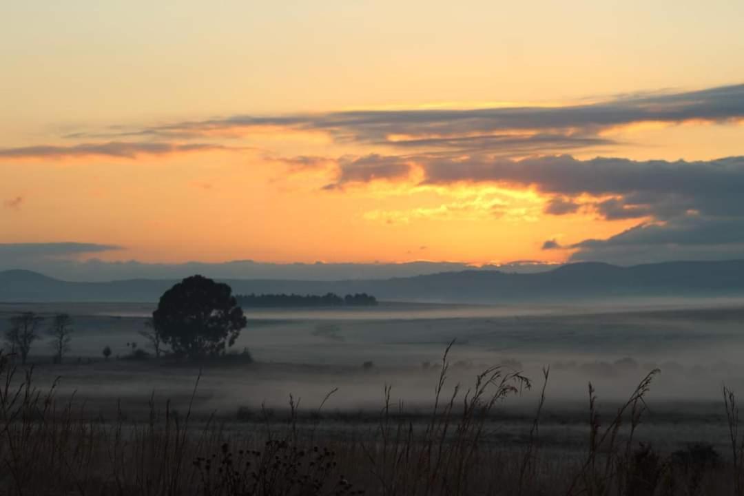 Forellenhof Guest Farm Wakkerstroom Bagian luar foto