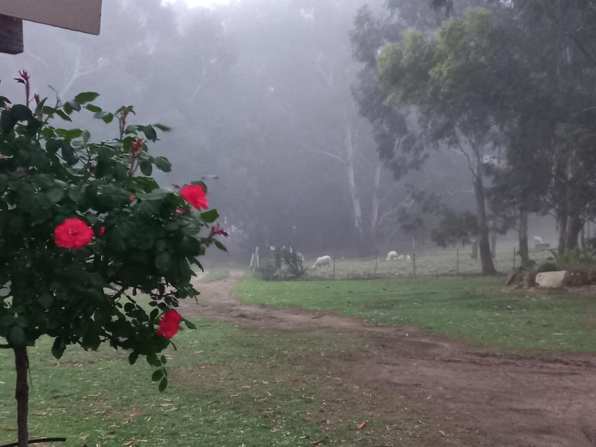 Forellenhof Guest Farm Wakkerstroom Bagian luar foto