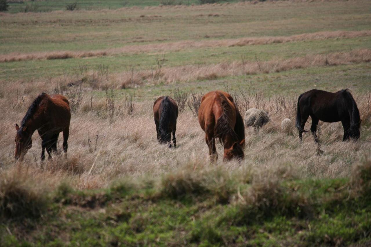 Forellenhof Guest Farm Wakkerstroom Bagian luar foto