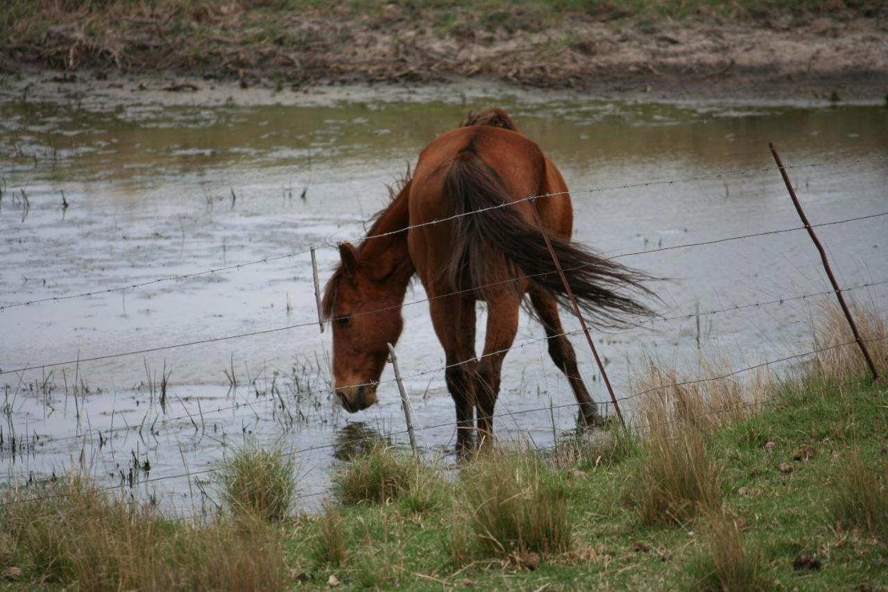 Forellenhof Guest Farm Wakkerstroom Bagian luar foto