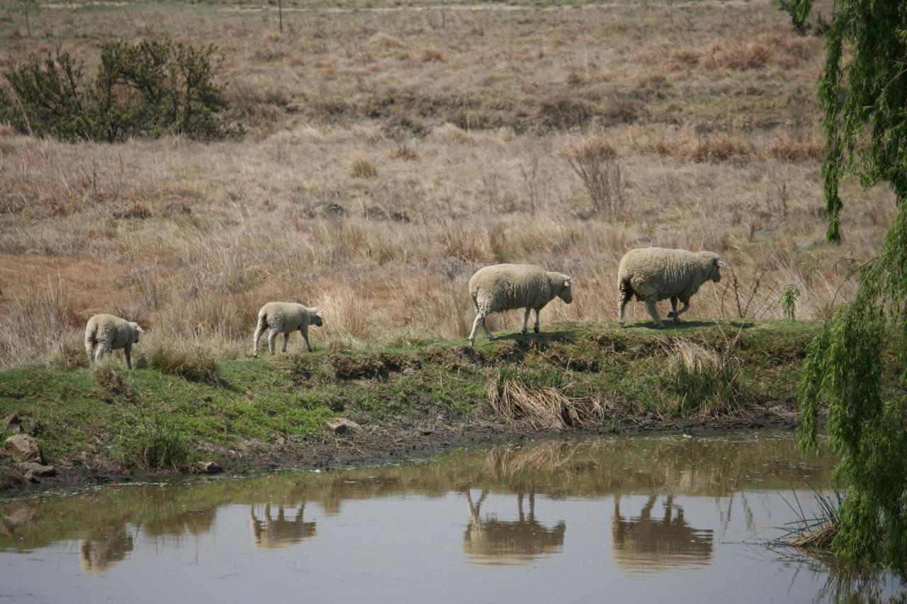 Forellenhof Guest Farm Wakkerstroom Bagian luar foto