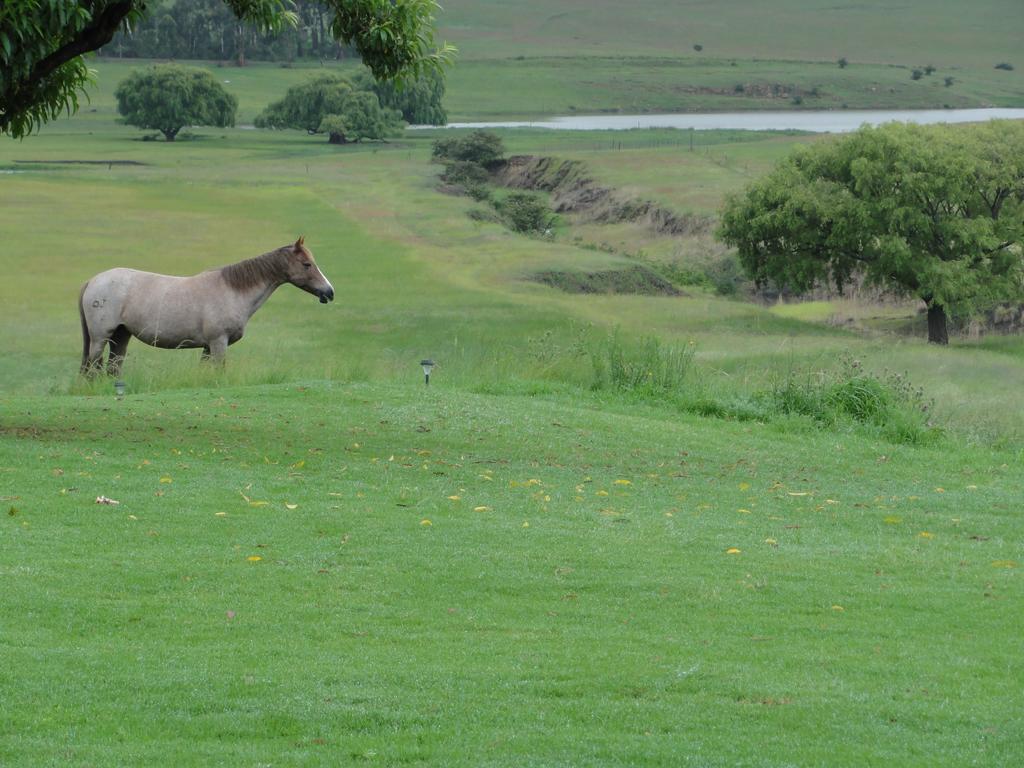 Forellenhof Guest Farm Wakkerstroom Bagian luar foto