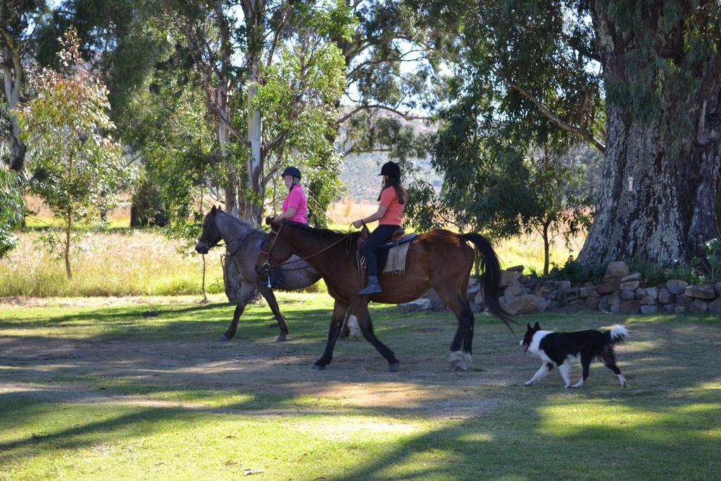 Forellenhof Guest Farm Wakkerstroom Bagian luar foto