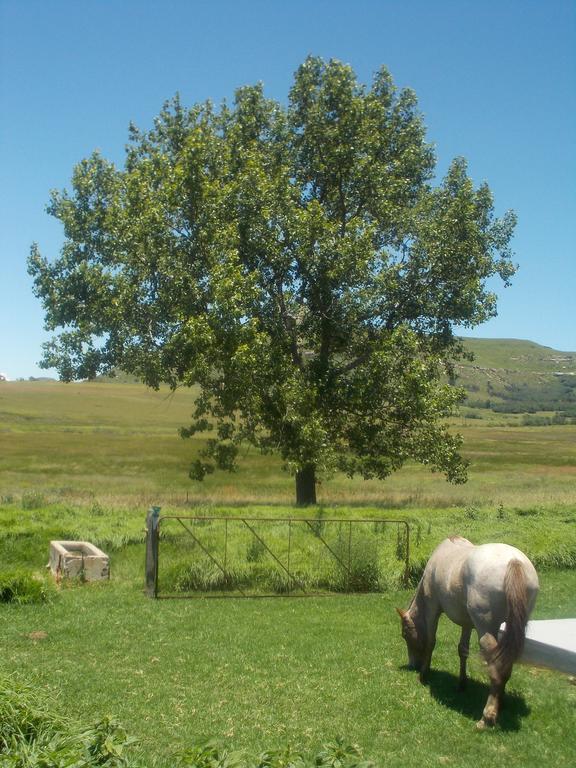 Forellenhof Guest Farm Wakkerstroom Bagian luar foto