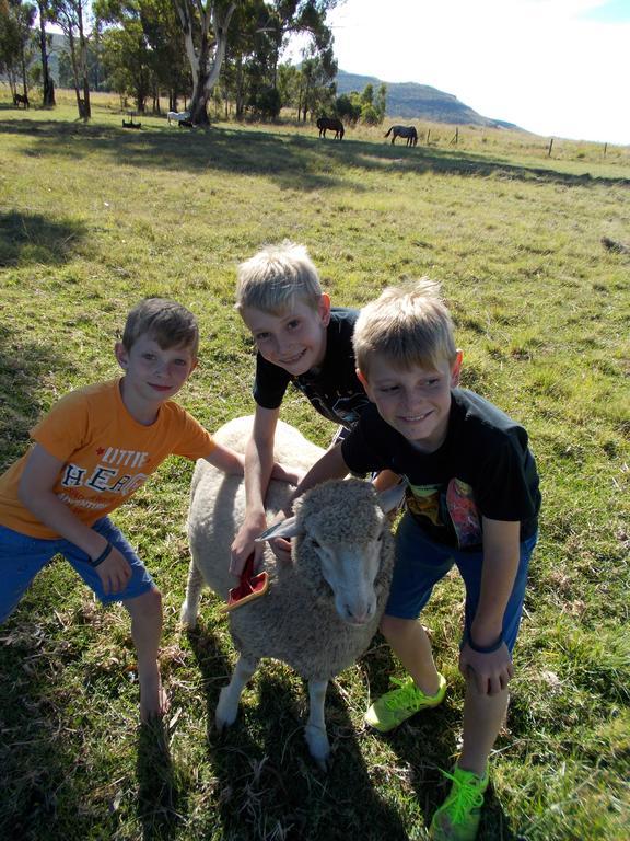 Forellenhof Guest Farm Wakkerstroom Bagian luar foto