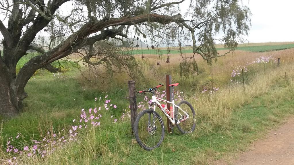 Forellenhof Guest Farm Wakkerstroom Bagian luar foto