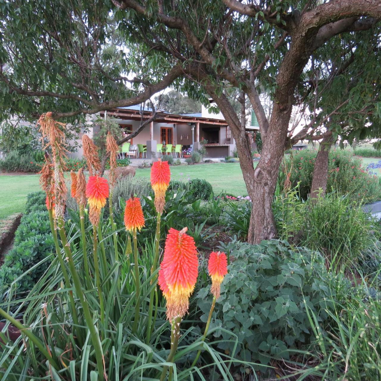 Forellenhof Guest Farm Wakkerstroom Bagian luar foto